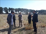 بازدید فرماندار قدس از اراضی آموزش و پرورش شهرستان 