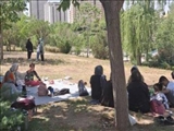 اردوی تفریحی یکروزه ویژه کودکان دارای معلولیت ذهنی و مادران گرامیشان