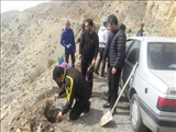 کاشت 50نهال در دره ازگی شهرستان قدس