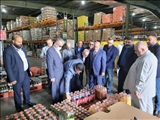 بازدید استاندار کربلا معلی از شهرستان قدس 
