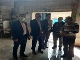 بازدید معاون فرماندار قدس از واحدهای صنعتی شهرستان