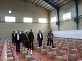 مجموعه مدیریتی شهرستان به دنبال ایجاد اشتغال پایدار هستند