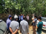 بازدید معاون فرماندار قدس از واحد گلخانه‌ای واقع در روستای دانش