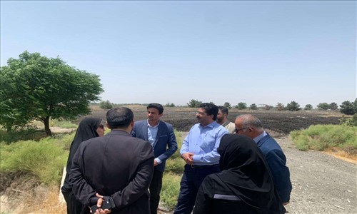 بازدید سرپرست معاونت برنامه ریزی