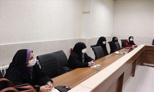 برگزاری نشست کمیته تخصصی اشتغال