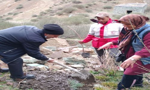 کاشت نهال دوستی به مناسبت روز درختکاری