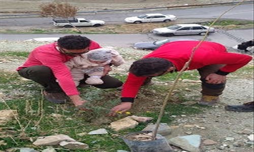کاشت نهال دوستی به مناسبت روز درختکاری
