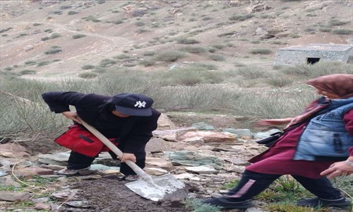 کاشت نهال دوستی به مناسبت روز درختکاری