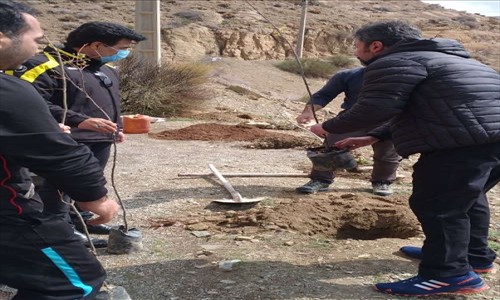 کاشت ۵۰نهال در دره ازگی شهرستان