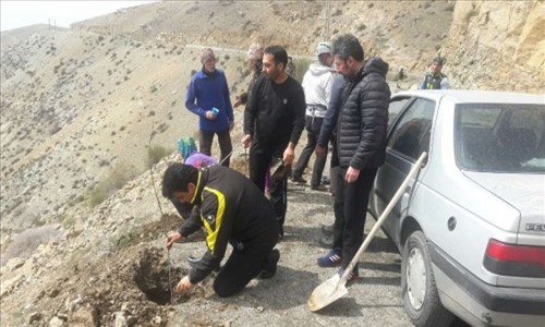 کاشت ۵۰نهال در دره ازگی شهرستان