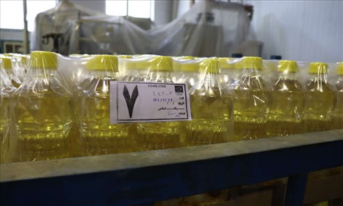 روغن