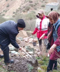 کاشت نهال دوستی به مناسبت روز درختکاری