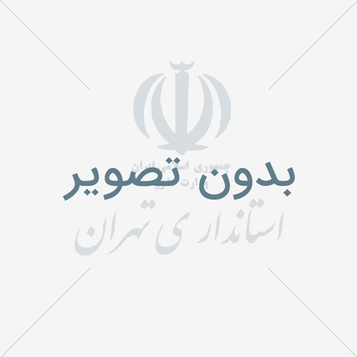 پنجمین نشست شورای اجتماعی و نشست‌های تخصصی جوانان و خانواده در فرمانداری قدس برگزار شد